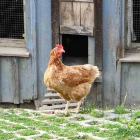 Letters to the Editor From Our Readers, Winter 2014 Image